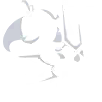 Stunt Kick